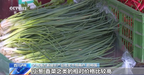 高溫炙烤下的民生守護 四川多地延期開學，全力保障農產品供應