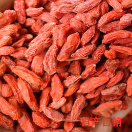 寧夏特級枸杞 營養瑰寶，健康選擇——食用農產品批發指南