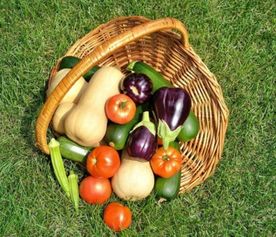 食品安全大于天，源頭把關(guān)是關(guān)鍵——陜西省市場監(jiān)管局召開食用農(nóng)產(chǎn)品批發(fā)環(huán)節(jié)質(zhì)量安全座談會